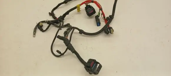 BMW 5 G30 G31 G38 Other wiring loom 9302478 7615637 930247801