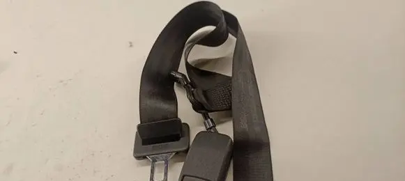 Volkswagen Golf IV Middle seatbelt (rear) 33000226 5480