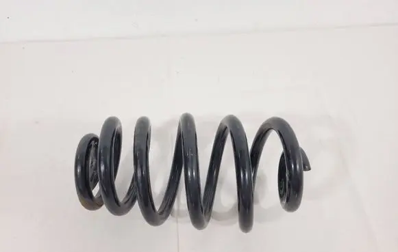 Rear coil spring