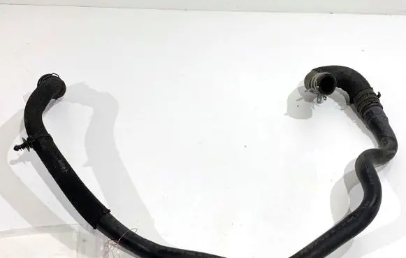 Renault Clio V Engine coolant pipe/hose 210215728R