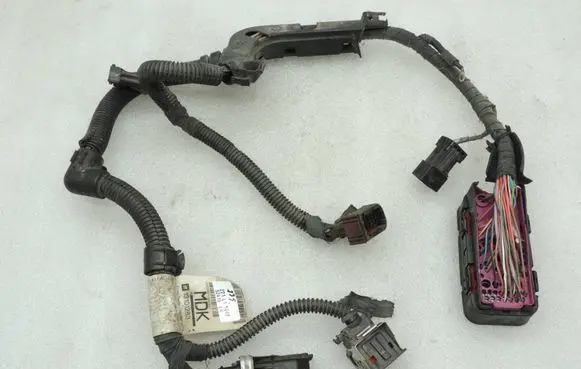 Other wiring loom