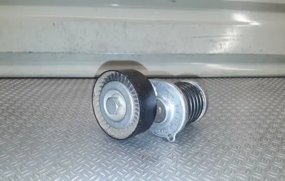Skoda Yeti (5L) Generator/alternator belt tensioner 950330
