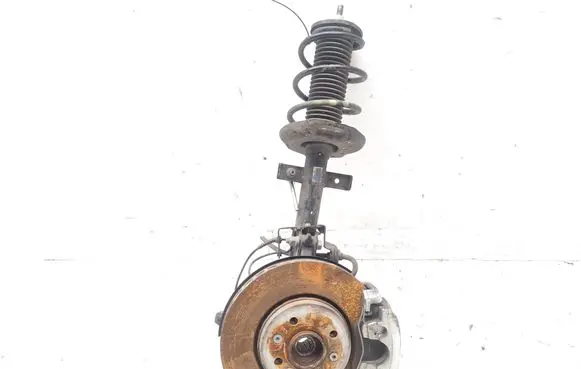 Renault Clio V Front wheel hub spindle knuckle 543025179R