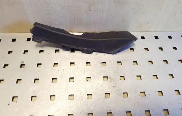 Opel Antara Windshield trim 96624541