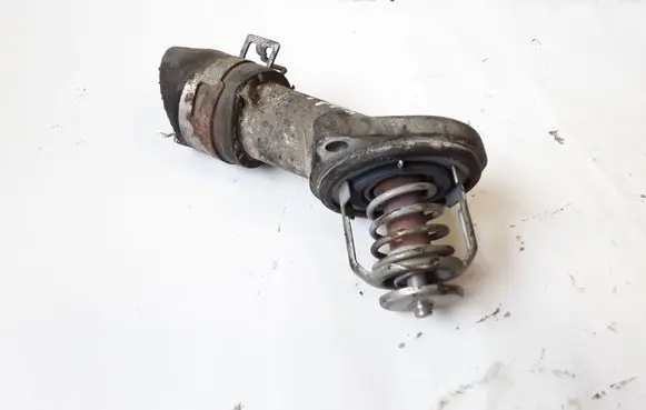 Thermostat/thermostat housing