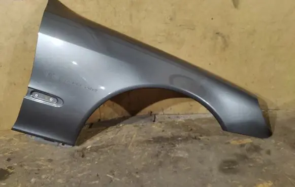 Mercedes-Benz S W220 Fender