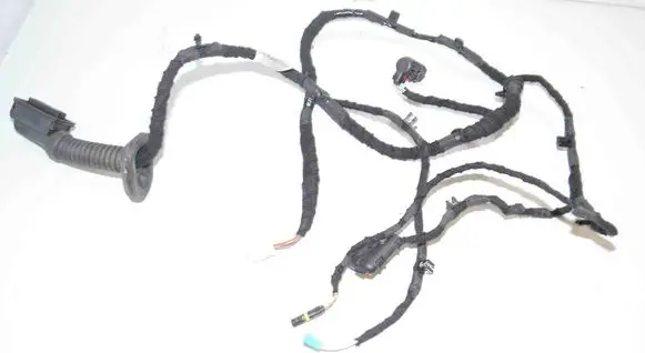 Rear door wiring loom