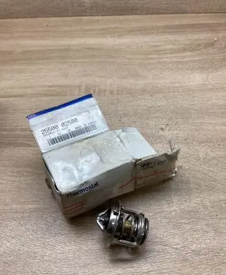Hyundai Getz Thermostat 2550002500