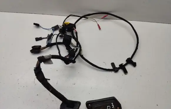 Front door wiring loom