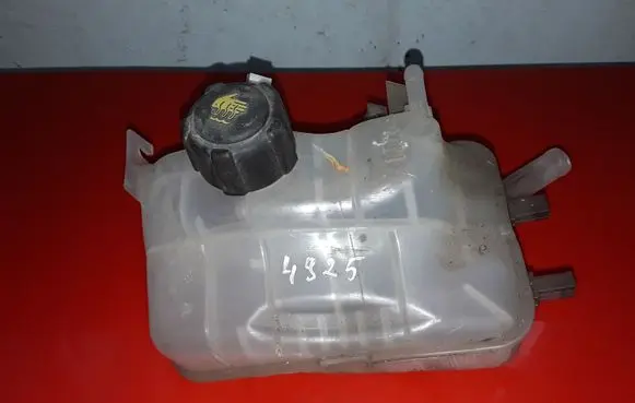Renault Scenic III - Grand scenic III Coolant expansion tank/reservoir 217100005R