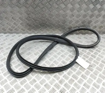 MG MG4 ev Rubber seal front coupe door 10941425