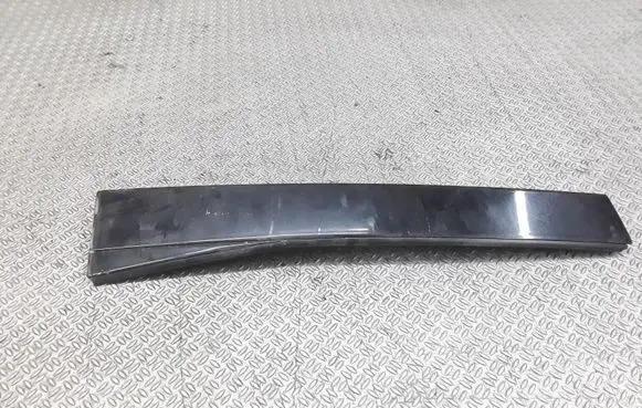 Rear door glass trim molding