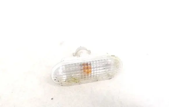 Front fender indicator light