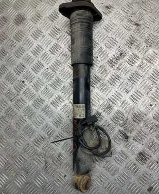 Rear shock absorber/damper