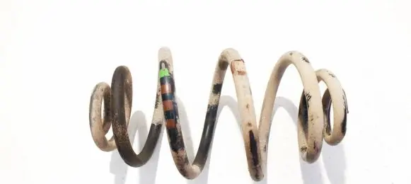 Volkswagen PASSAT B5 Rear coil spring