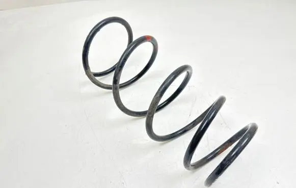 Front coil spring