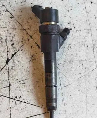 Renault Trafic II (X83) Fuel injector 0445110110B