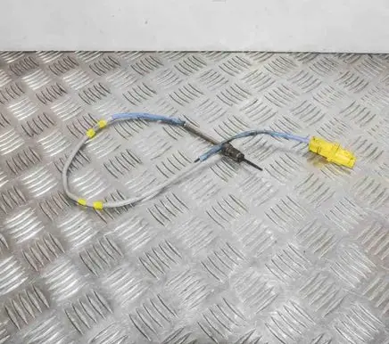 Renault Laguna III Oil temperature sensor 8200882195