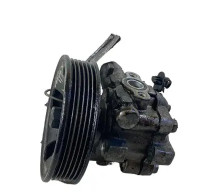 Hyundai Santa Fe Power steering pump