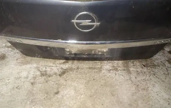 Trunk door license plate light bar