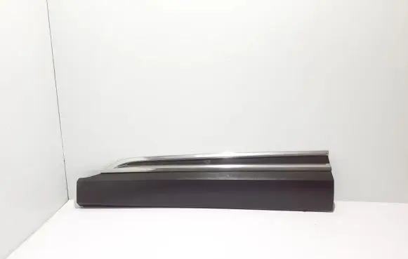 Front door trim (molding)