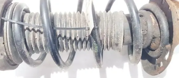 Front coil spring