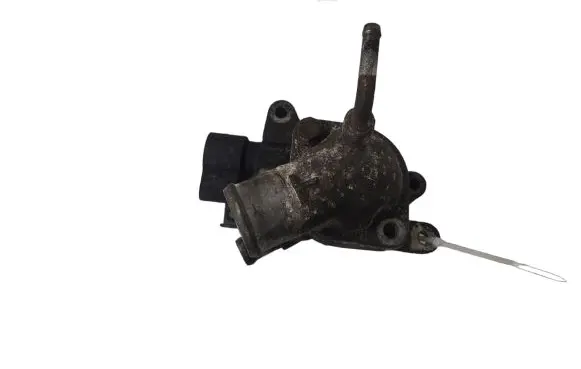 Thermostat/thermostat housing