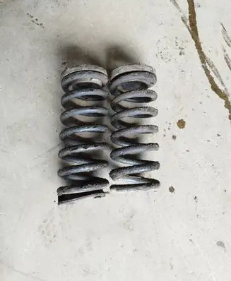 Rear coil spring