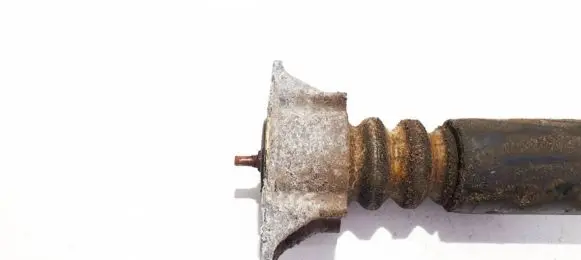 Coil spring mount