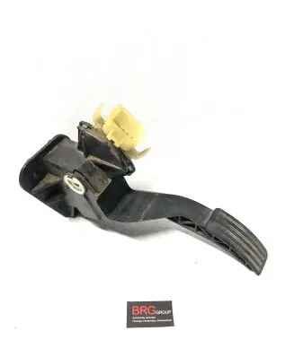 Ford Transit Accelerator throttle pedal 18122009T1 24542546