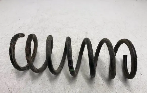 Rear coil spring