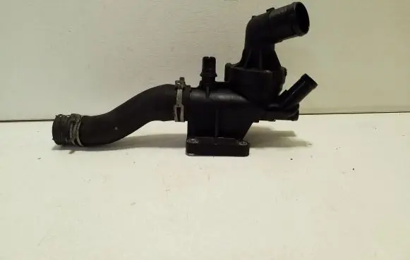 Thermostat/thermostat housing