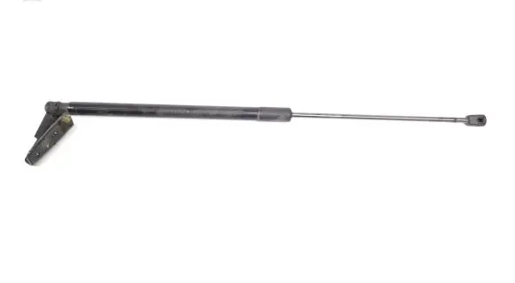 Tailgate/trunk strut/damper