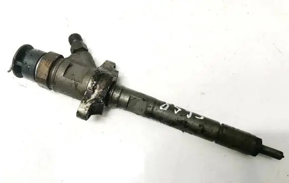 Citroen C3 Picasso Fuel injector 0445110311