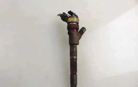Toyota Yaris Fuel injector 236700N020 0445110214