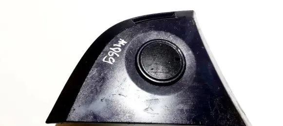 Side speaker trim/cover
