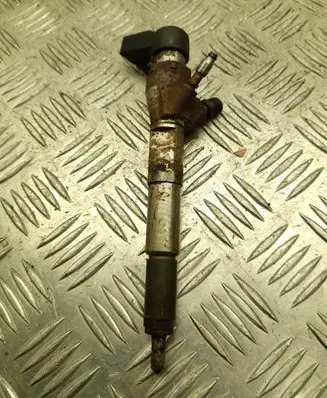 Renault Megane III Fuel injector 166006212R
