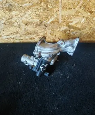 Renault Scenic III - Grand scenic III EGR valve 8200282949