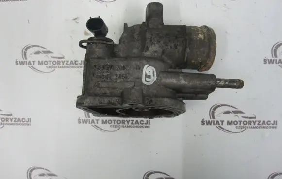 Thermostat/thermostat housing