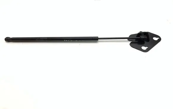 Tailgate/trunk strut/damper