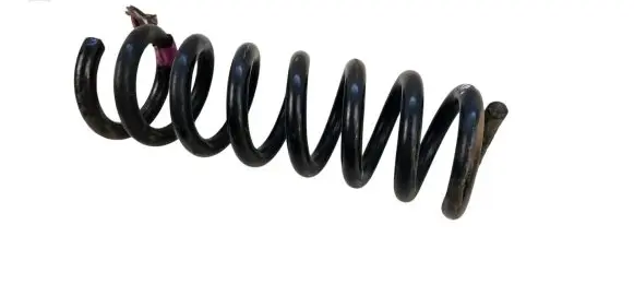 Dodge Charger Rear coil spring 05168900AC 25591F