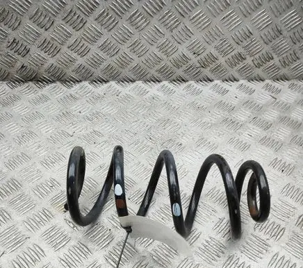 Renault Arkana Rear coil spring 550191828R