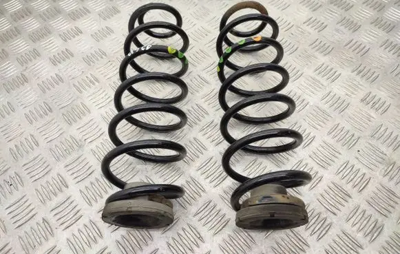Rear coil spring