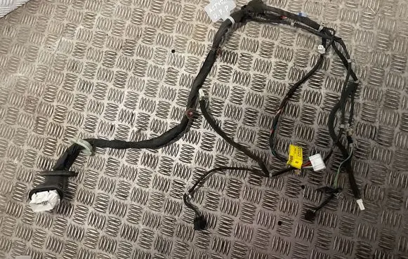 SsangYong Actyon Front door wiring loom 