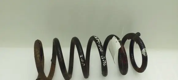 Chevrolet Captiva Rear coil spring