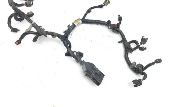 Dodge Challenger Fuel injector wires 