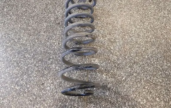 Ford Mustang V Rear coil spring