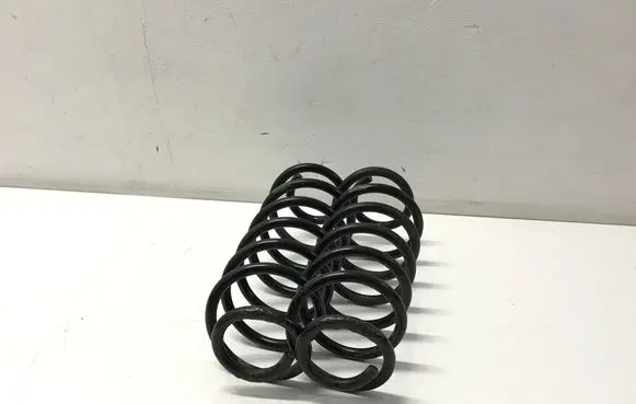Rear coil spring