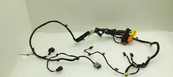 Front door wiring loom