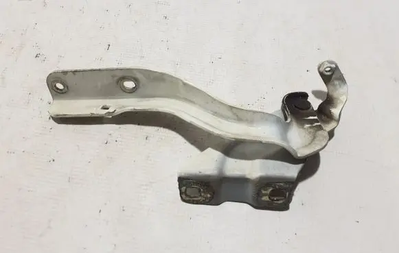 Nissan Pulsar Engine bonnet/hood hinges 654003DN0A